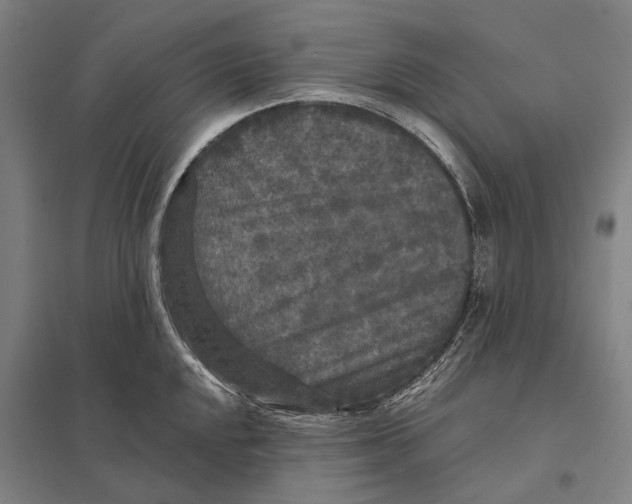 X0000097761048200803281629