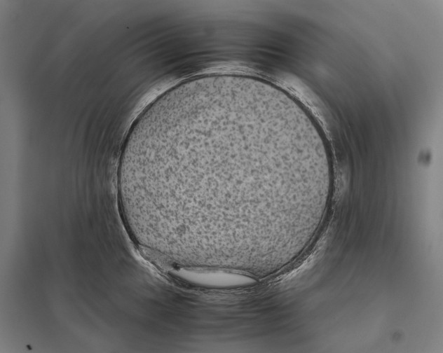 X0000097761049200803281629