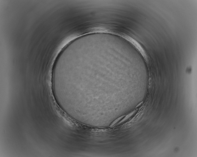 X0000097761051200803281629