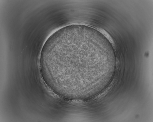 X0000097761052200803281629