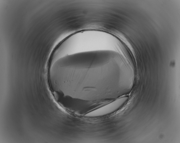 X0000097761053200803281629