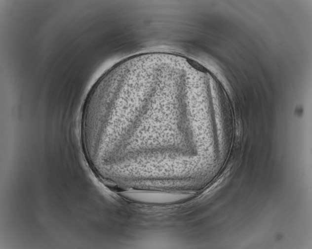 X0000097761054200803281629