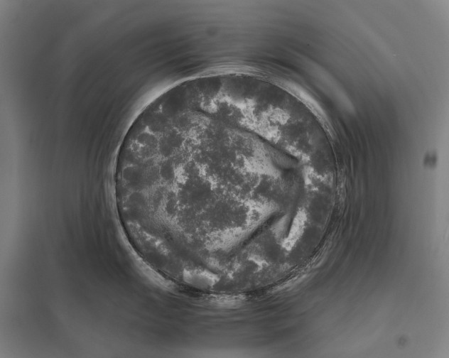 X0000097761055200803281629