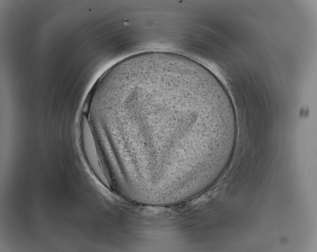 X0000097761056200803281629