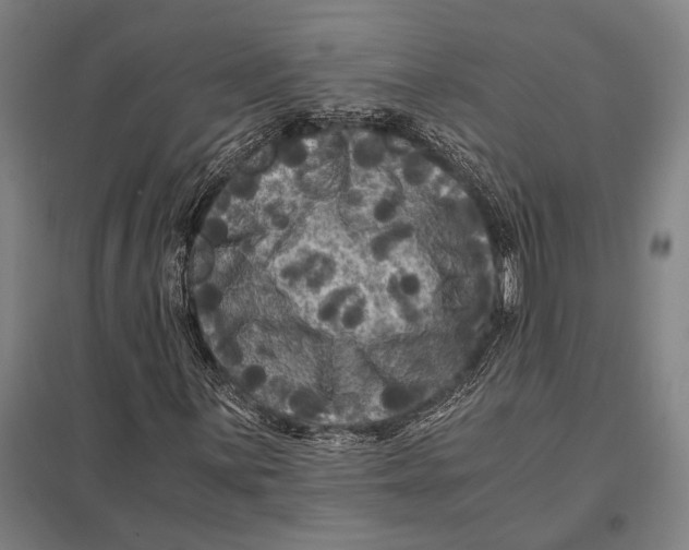 X0000097761059200803281628