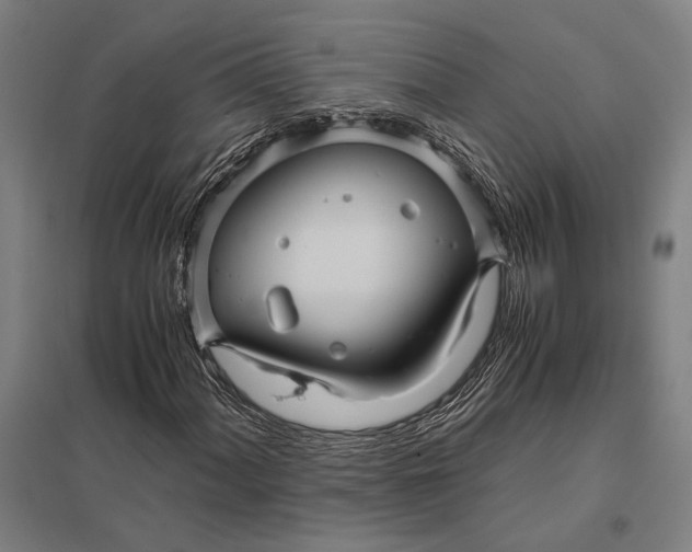 X0000097761060200803281628