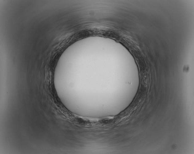 X0000097761061200803281628