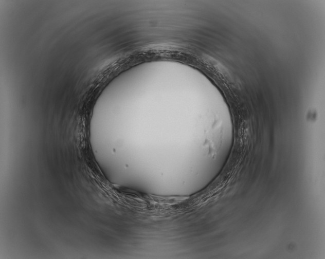 X0000097761062200803281628