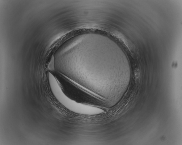 X0000097761064200803281628