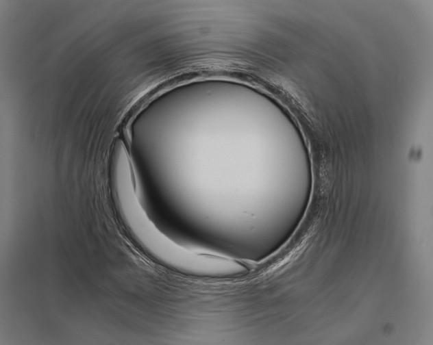 X0000097761065200803281628