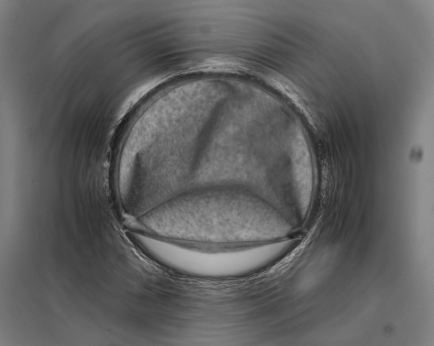 X0000097761066200803281628