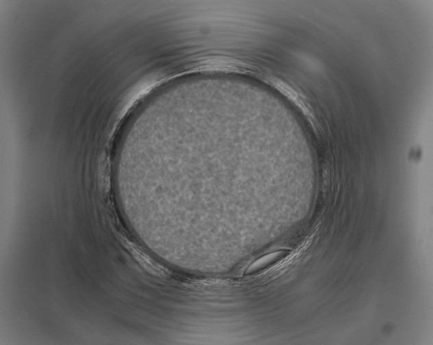 X0000097761067200803281628