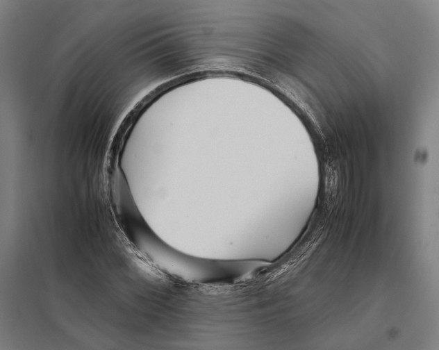 X0000097761068200803281628