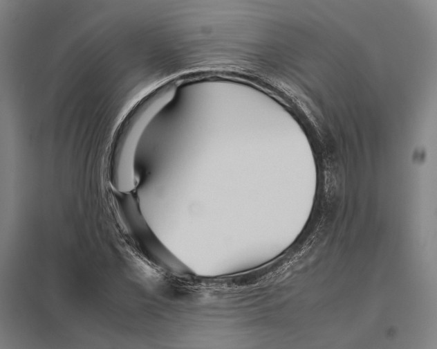 X0000097761069200803281628