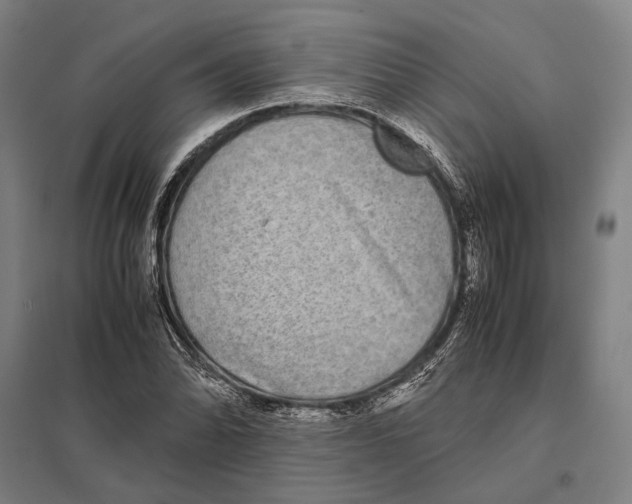 X0000097761070200803281628