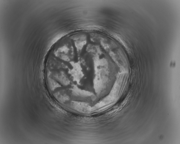 X0000097761071200803281628