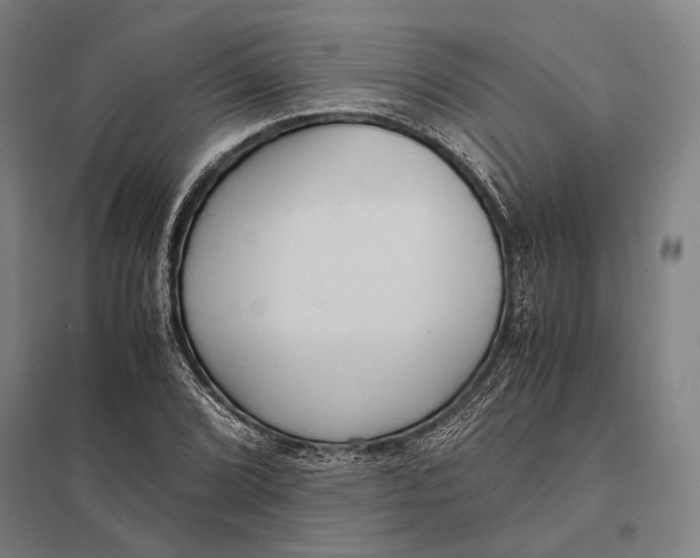 X0000097761072200803281628