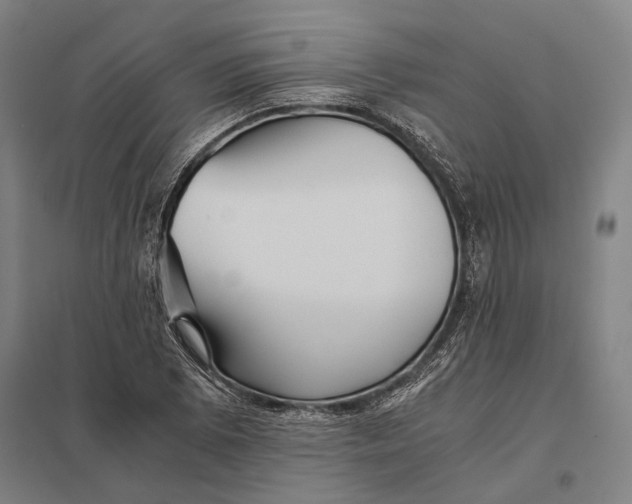 X0000097761073200803281628