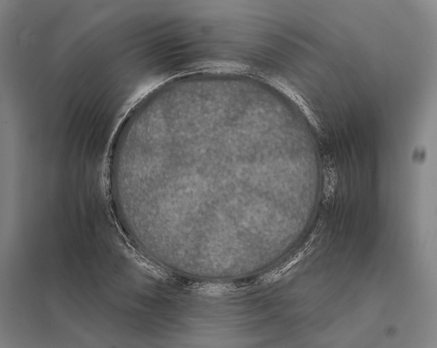 X0000097761074200803281628