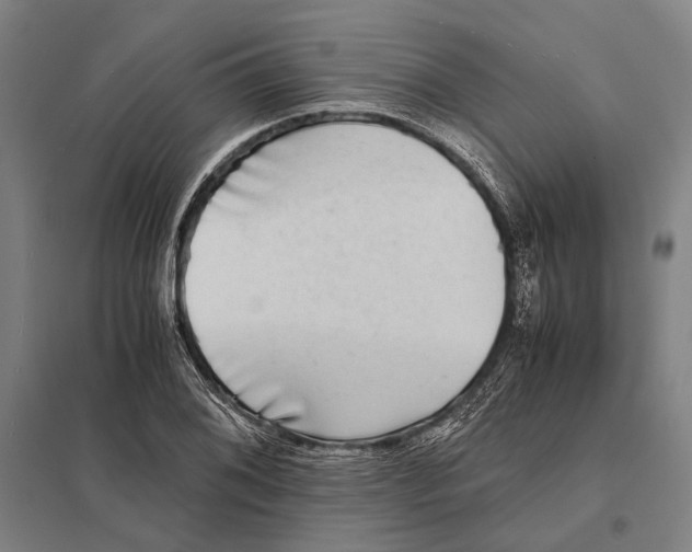 X0000097761076200803281628