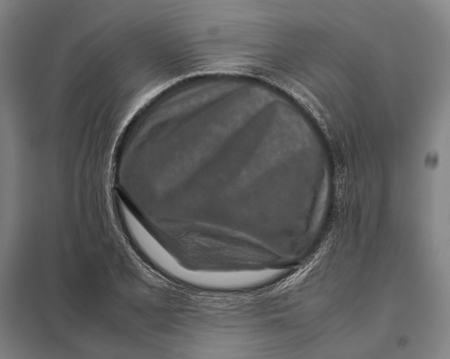 X0000097761077200803281628