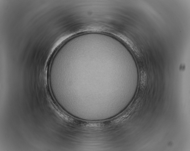 X0000097761078200803281628