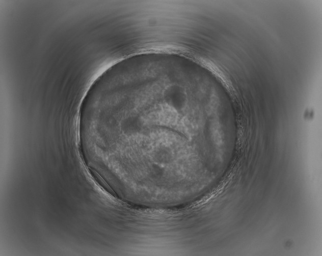 X0000097761079200803281628