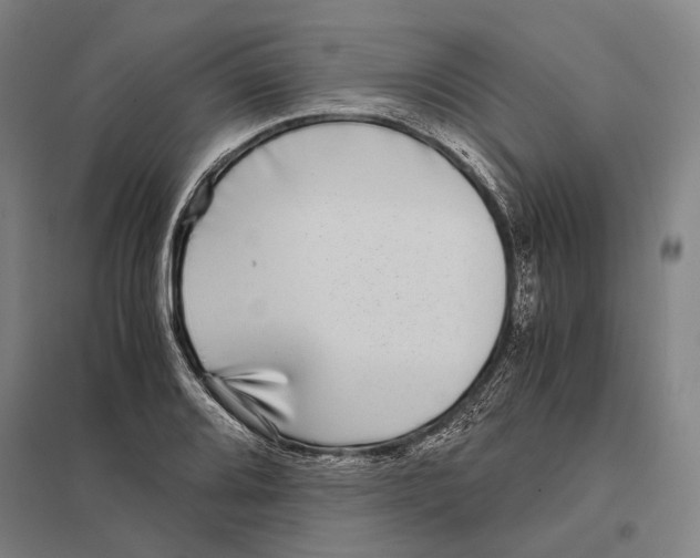 X0000097761080200803281628