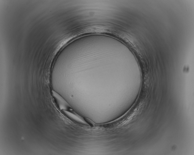 X0000097761081200803281628