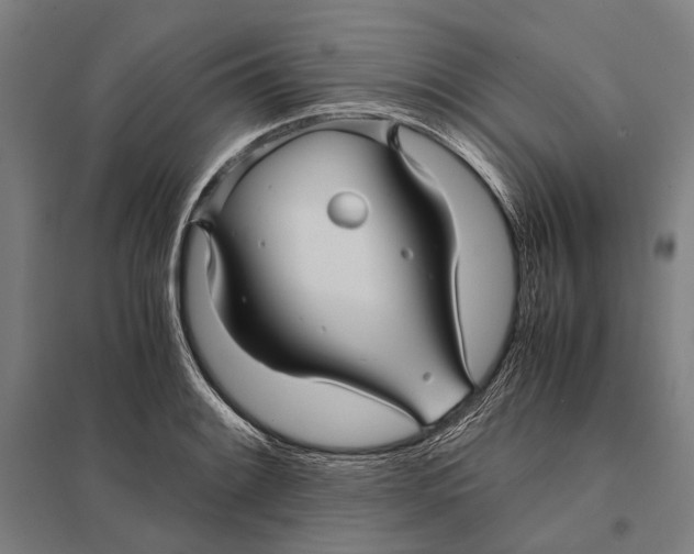 X0000097761084200803281628