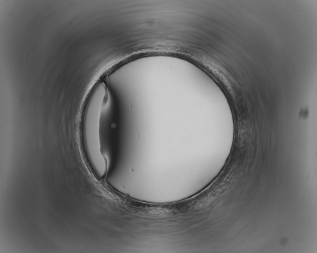 X0000097761085200803281628