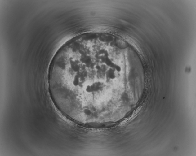 X0000097761087200803281628