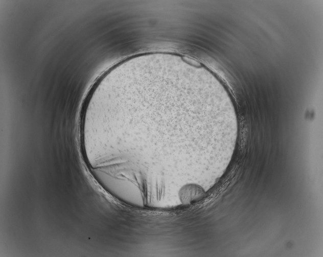 X0000097761088200803281628