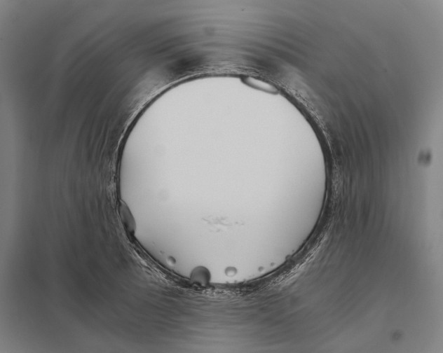 X0000097761089200803281628