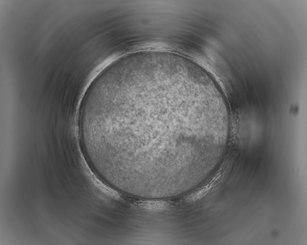 X0000097761090200803281628