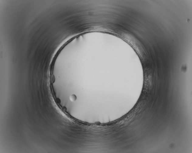 X0000097761092200803281628