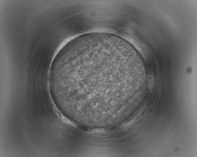 X0000097761094200803281628