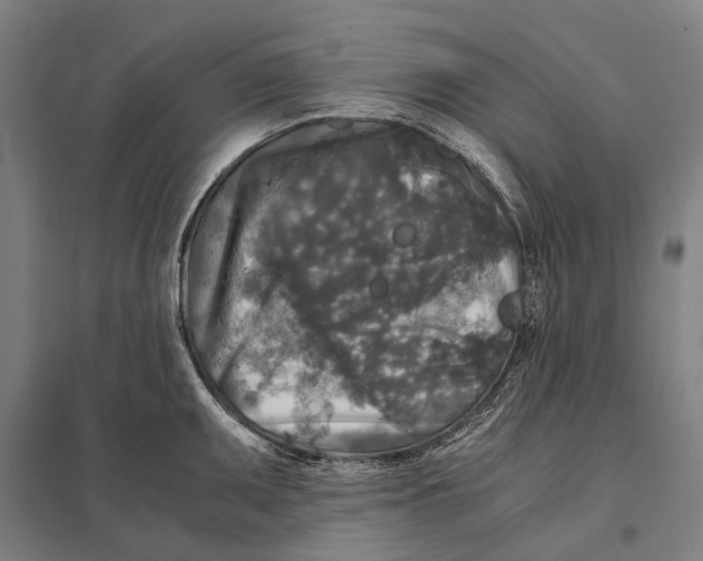 X0000097761095200803281628