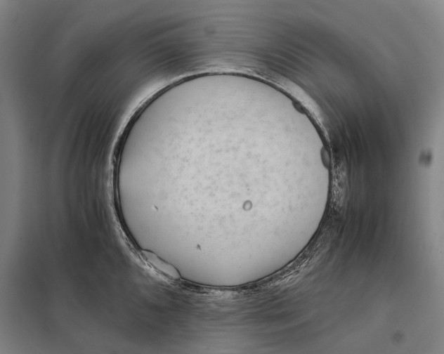 X0000097761096200803281628