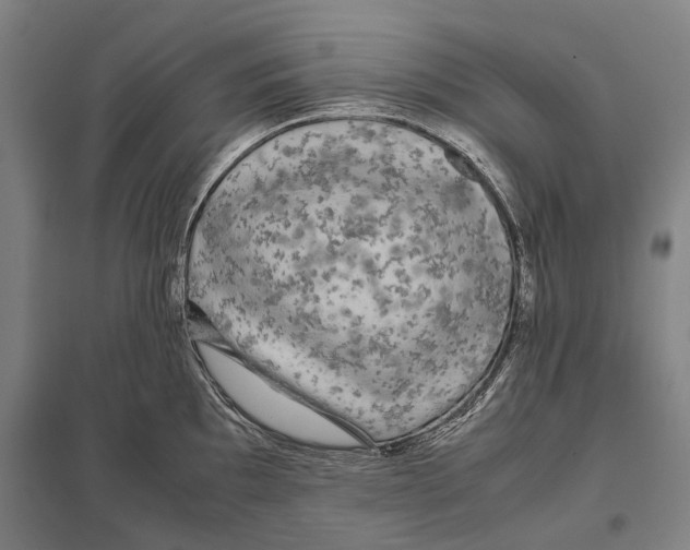 X0000097761097200803281628