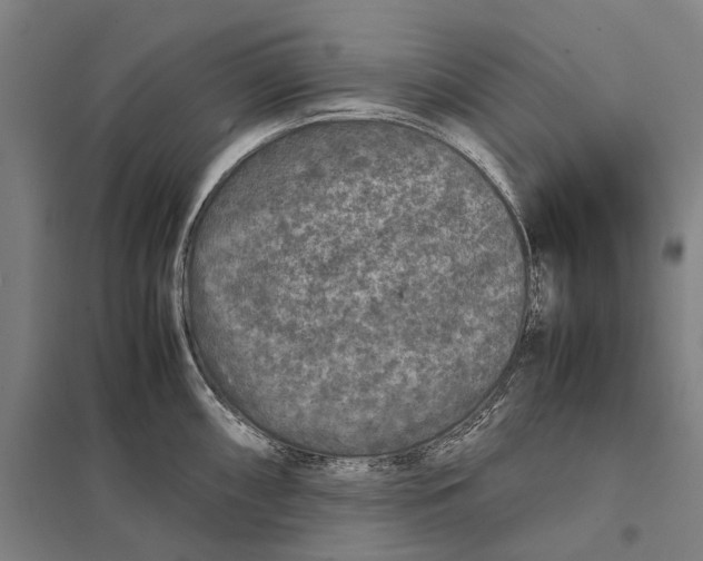 X0000097761098200803281628