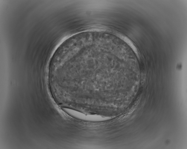 X0000097761099200803281628