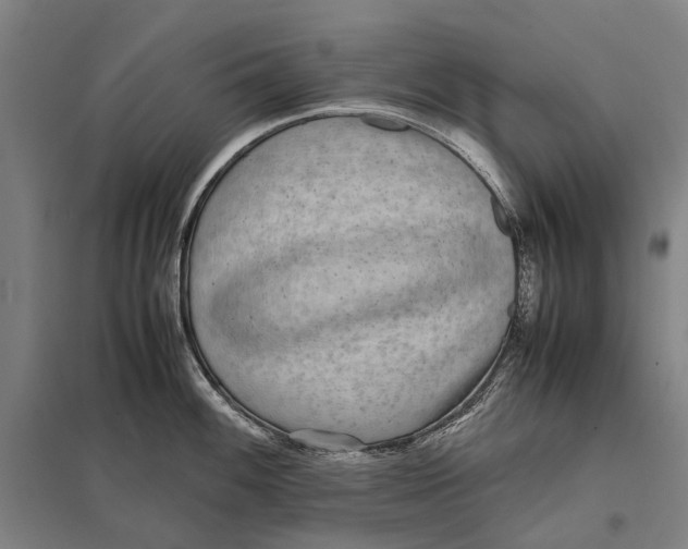 X0000097761100200803281628