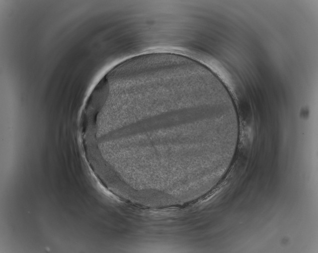 X0000097761102200803281628