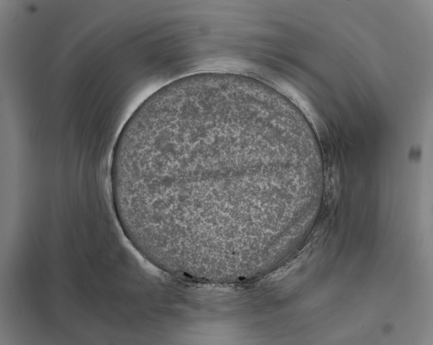 X0000097761103200803281627