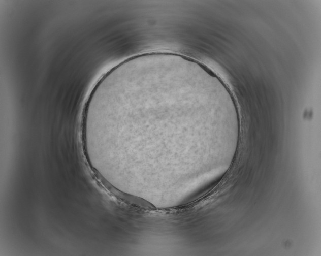 X0000097761104200803281627