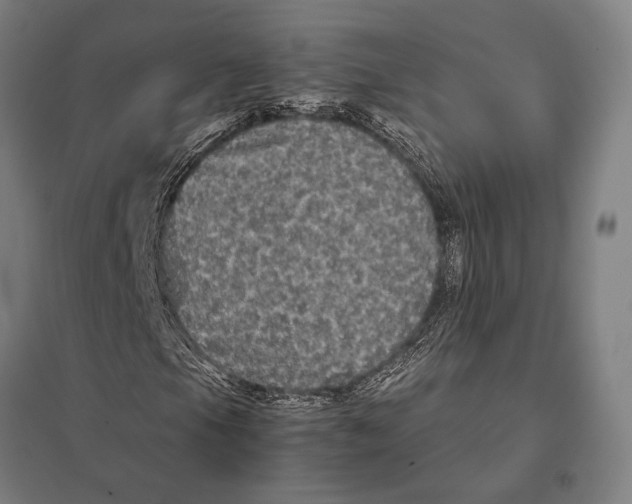 X0000097761105200803281627