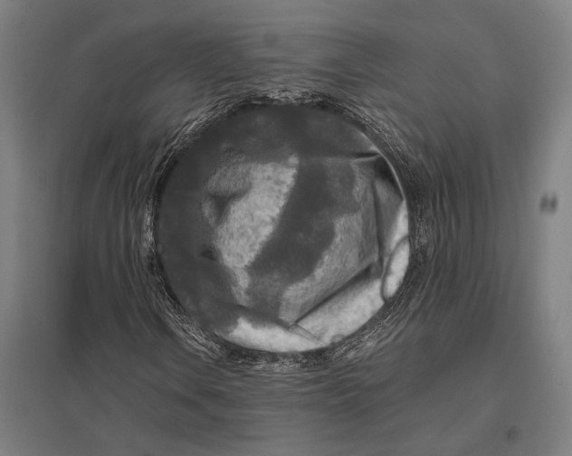 X0000097761106200803281627