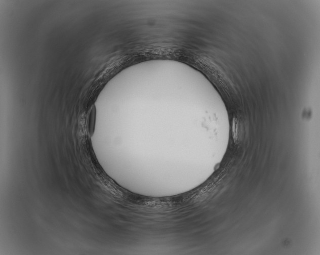 X0000097761107200803281627