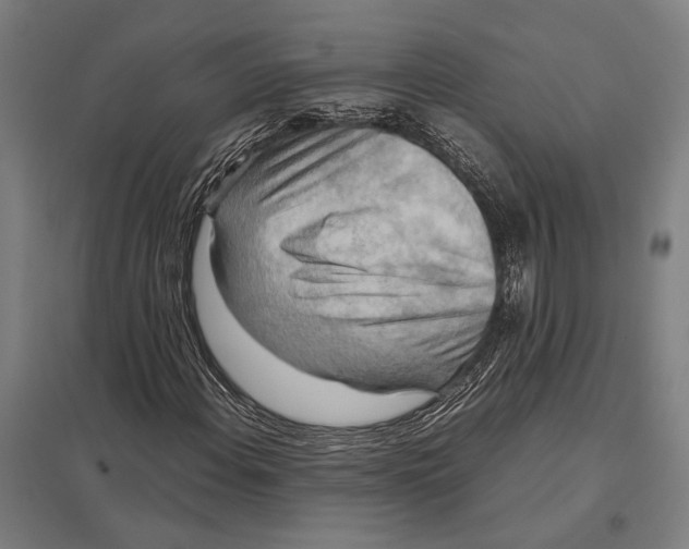 X0000097761108200803281627